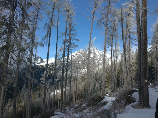 Tatry