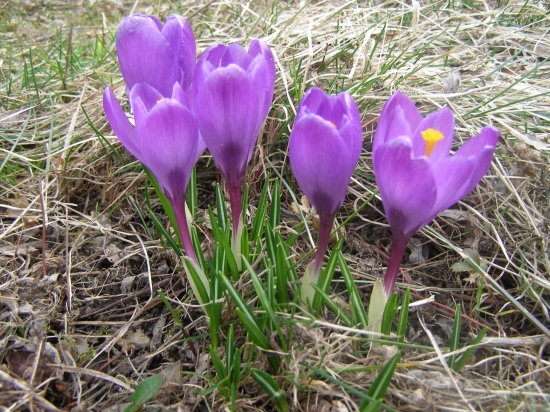 konečně je po zimě