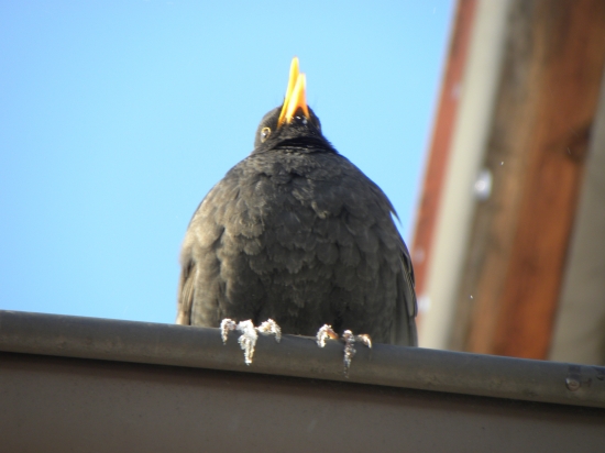 áááá to mě mrznou nožičky