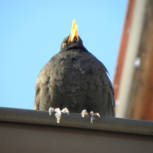 áááá to mě mrznou nožičky