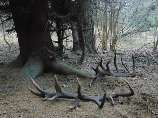 Vzácny dar prírody!