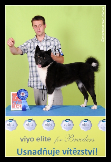 Akisha z Kvildských plání