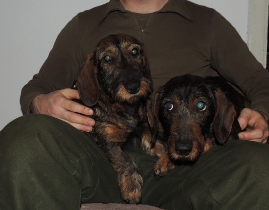 Freya Biela breza a Diana z Oravskej Magury