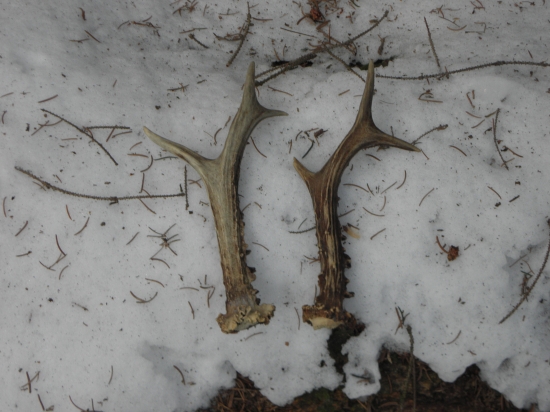 včerajšie štastie