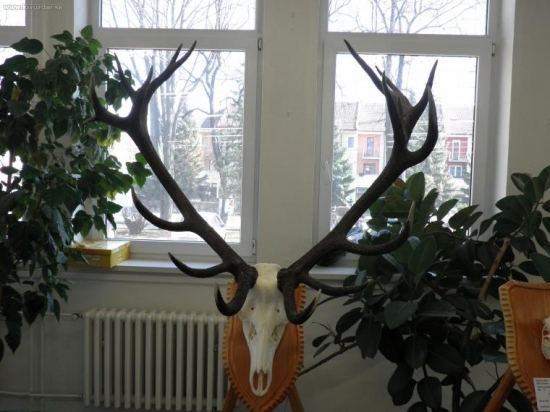 chov. prehliadka Kezmarok