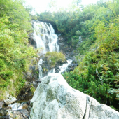 Osviežujúci pohľad.