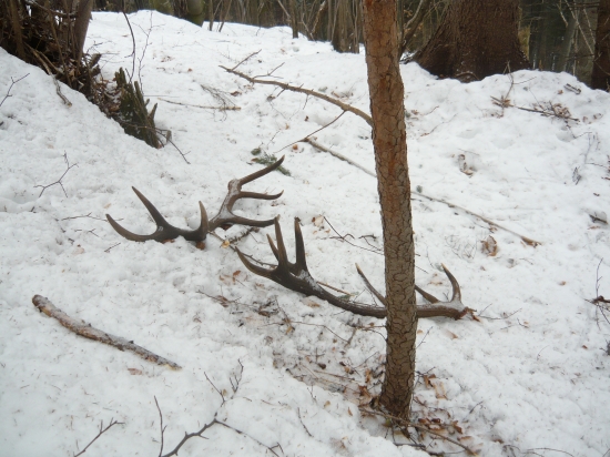 Taký pohľad vždy poteší.