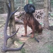 Zabudnutý