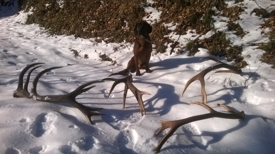 Na dnes  stačilo ideme domov.