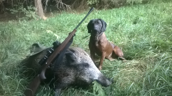 Na záver jednej mesačnej noci:-)