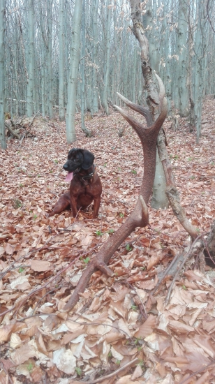 pohľadaj druhý ja ho postrážim.:-)