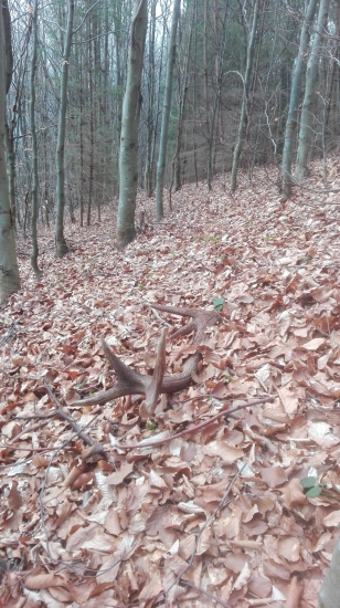 keď už v úspech nedúfaš 3,25.