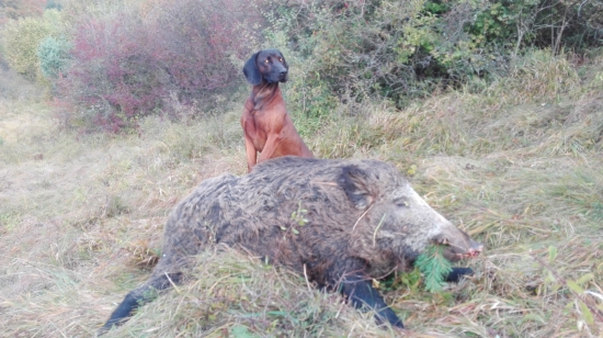 dnes som víťaz ja.