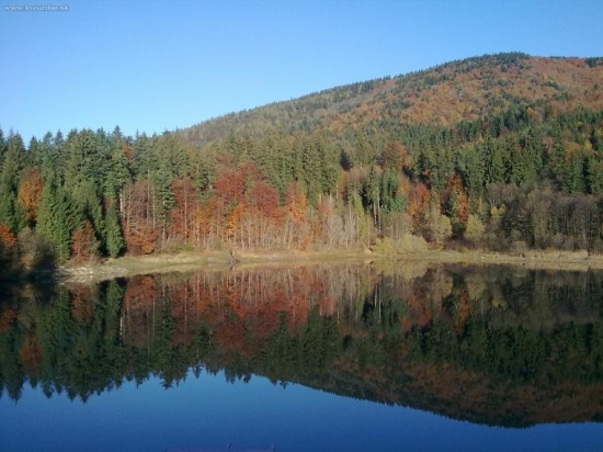 Zrkadlo