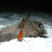 Keď vydržíš uvidíš dáke to prasiatko.