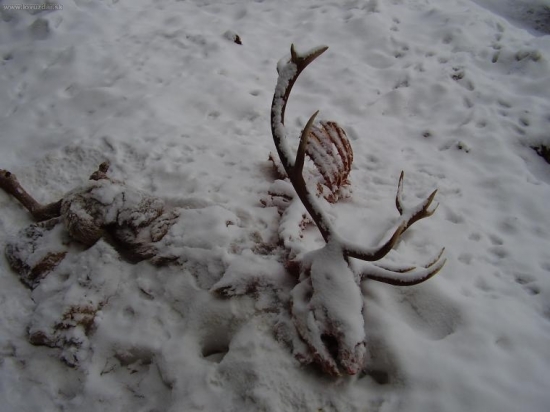 smrť chodí po horách.