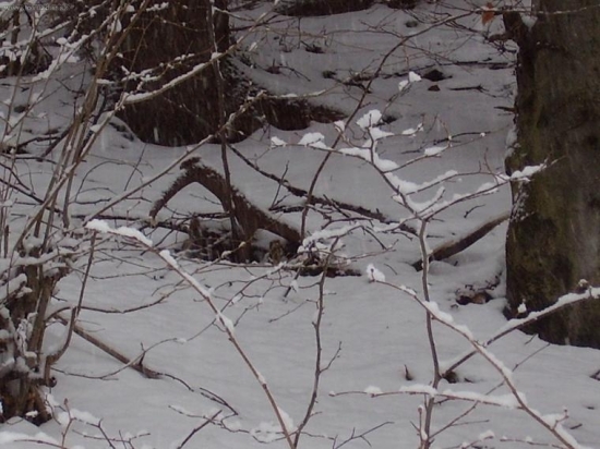 úplne náhodný pohľad.