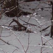 úplne náhodný pohľad.