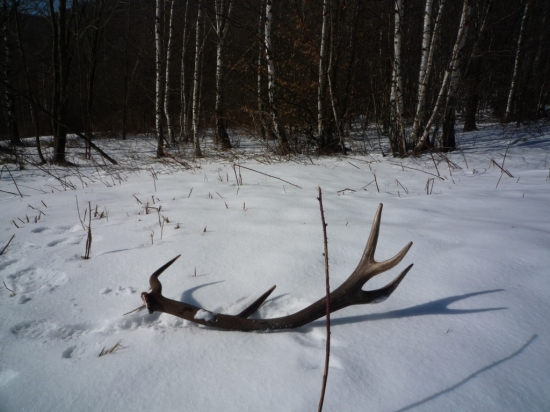 konečne som sa dočkal :)