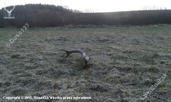 Skoro ráno