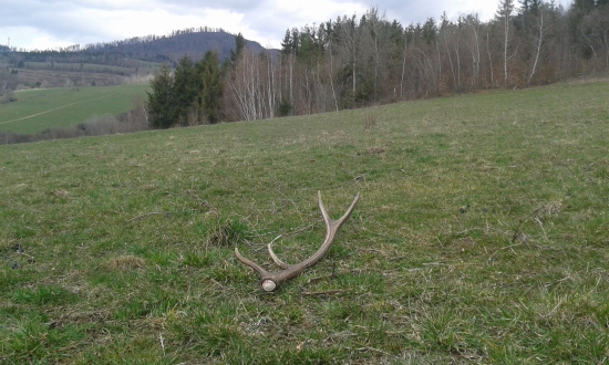 Prvý pohľad je vždy najlepší