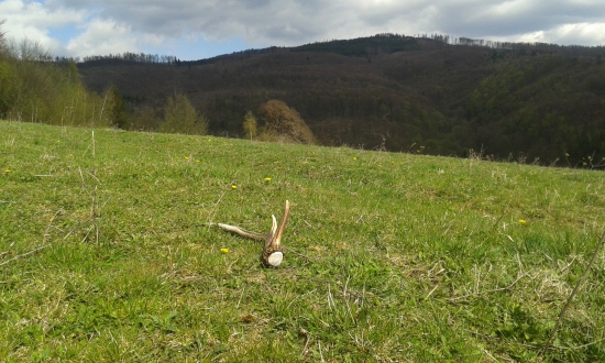 Keď som už nedúfal ,že niečo nájdem ..