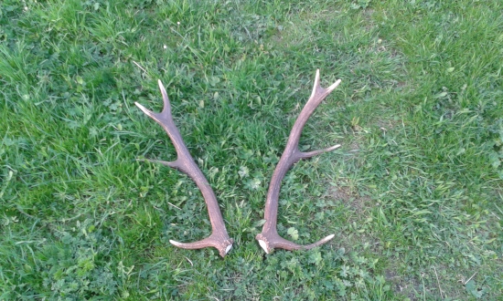 Po dvoch dňoch znova spolu :))