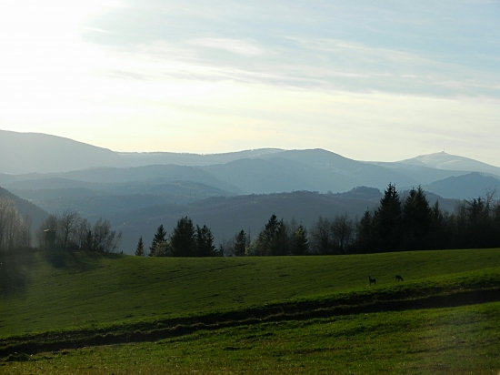 Podvečer