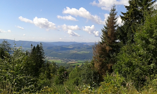 Pohľad do dediny