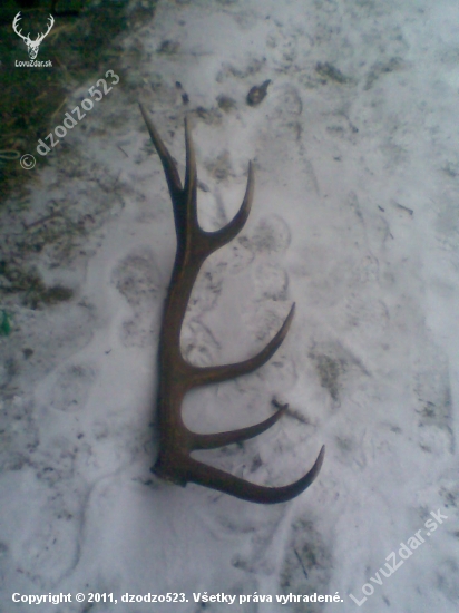 sezona 2011