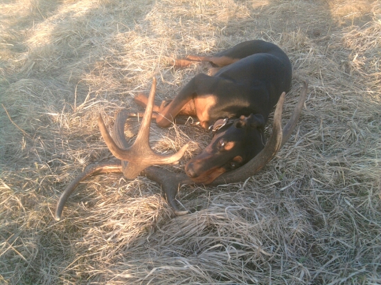 Nepravidelny 10-torak