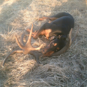 Nepravidelny 10-torak