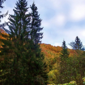 jeseň 2010