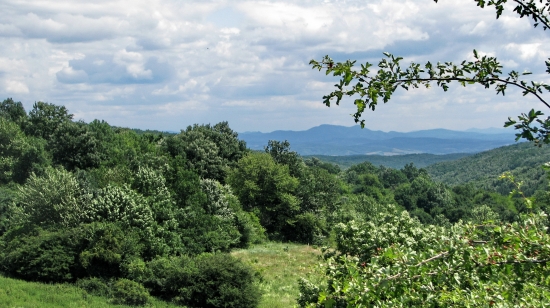 Ostrôžky...