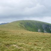 ....zo Strednej holi