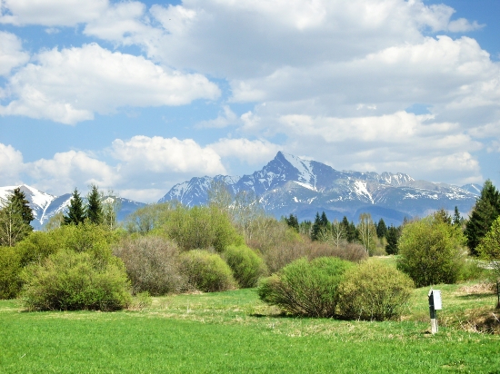 Kriváň
