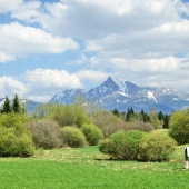 Kriváň