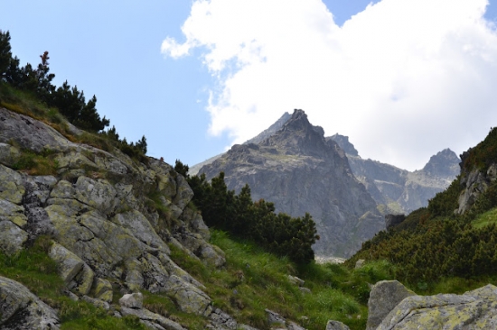 Vysoké Tatry