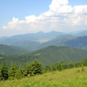 krajinka