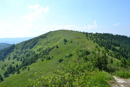 Zvolen