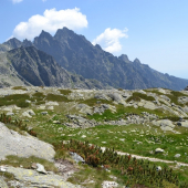 Vysoké Tatry