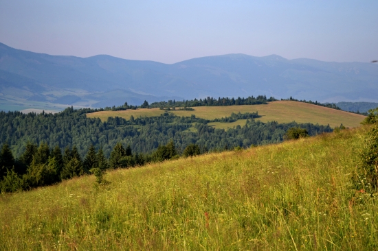 krajinka
