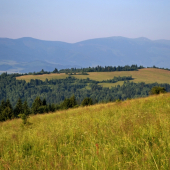 krajinka