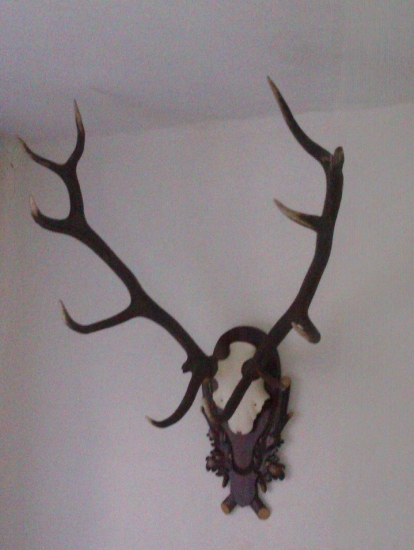 nieco z minulych rokou