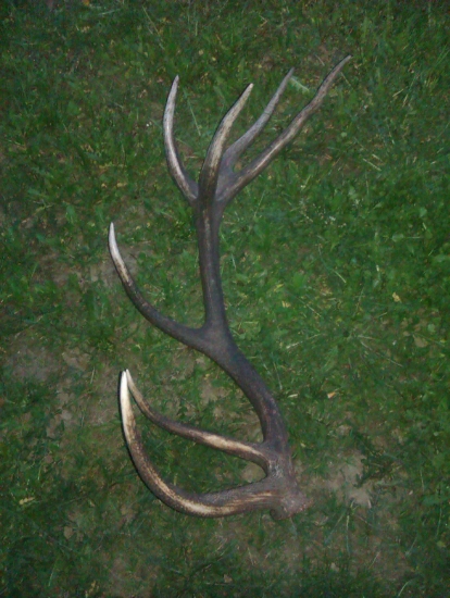 nieco s tych lepsich