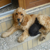 Nerozluční priatelia