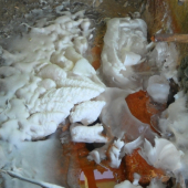 Zamrznutý minerálny prameň