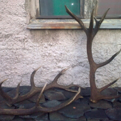 z rannej prechádzky