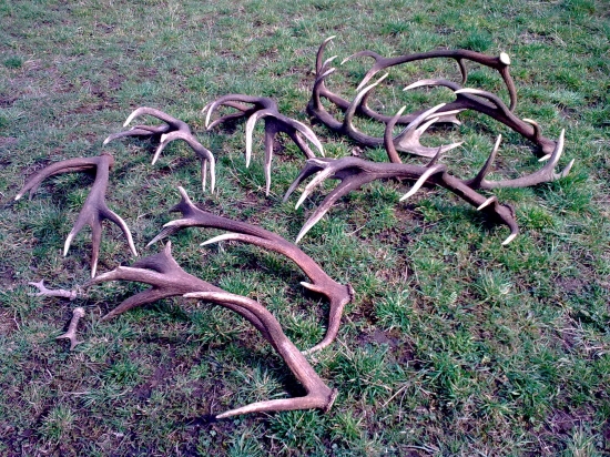 začiatok sezóny 2011