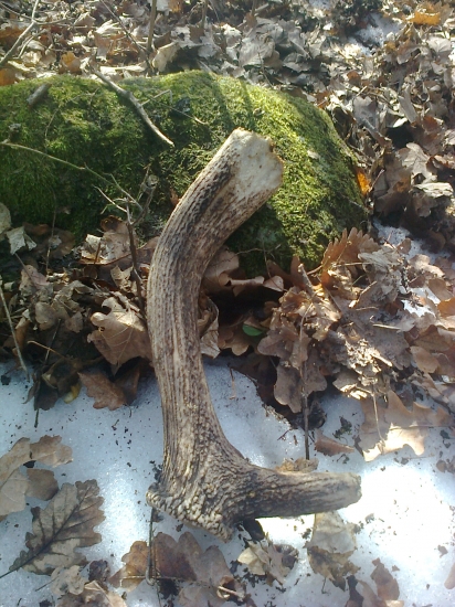 konečne sa zadarilo